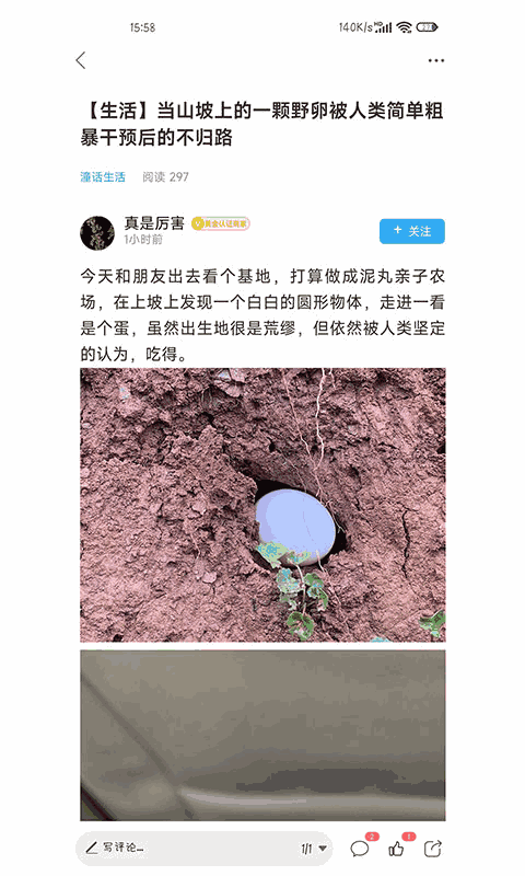 潼南论坛